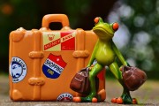 免費(fèi)游戲禮包，開(kāi)啟你的冒險(xiǎn)之旅