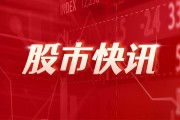 美股大型科技股盤前集體下跌，特斯拉跌3.5%