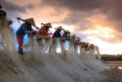 種地免費(fèi)游戲，開啟你的農(nóng)業(yè)夢(mèng)想之旅，種地大富翁，啟動(dòng)你的農(nóng)田冒險(xiǎn)之旅，免費(fèi)享受農(nóng)業(yè)的樂趣