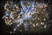 周公解夢之夢到刮大風(fēng)，周公解夢，夢到刮大風(fēng)的含義