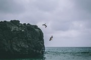 夢到自己白發(fā)的啟示，夢到白發(fā)，探尋人生的啟示