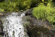 流量與網(wǎng)站訪問，一個(gè)動(dòng)態(tài)平衡的藝術(shù)，數(shù)字營(yíng)銷中的動(dòng)態(tài)平衡藝術(shù)，如何實(shí)現(xiàn)流量和訪問的動(dòng)態(tài)調(diào)整