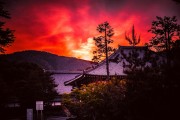 夢中的雞鳴之聲——我的養(yǎng)雞夢，夢中的雞鳴之聲，我的養(yǎng)雞之夢