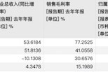 2024智駕年報透視：輔助駕駛扭虧為盈，自動駕駛?cè)詿X