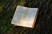 夢(mèng)到書，一場心靈與知識(shí)的奇妙旅程，夢(mèng)中的書，心靈與知識(shí)的奇妙旅程