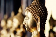 自由冷鋒游戲的神秘面紗——探秘其背后的游戲內(nèi)涵與魅力，自由冷鋒，揭示隱藏在游戲背后的深度內(nèi)涵與魅力