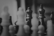 白事之夢，一場深邃的內(nèi)心探索，白事之夢，內(nèi)心深邃的探索之旅