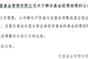 罕見(jiàn)！寶盈基金詭異的基金經(jīng)理變動(dòng)！
