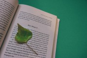 湖南校園注冊(cè)攻略，輕松開啟你的大學(xué)生活，湖南校園注冊(cè)全攻略，輕松邁入大學(xué)生活新篇章