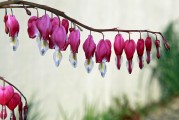 夢(mèng)境中的例假之謎，夢(mèng)境中的例假之謎解析