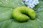 綠色環(huán)保，從注冊(cè)綠色開始—綠色平臺(tái)注冊(cè)指南，綠色注冊(cè)，開啟環(huán)保之旅——綠色平臺(tái)注冊(cè)攻略