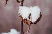 期貨可用資金為負的情況如何避免？避免可用資金為負的方法有哪些？