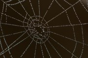 Unity開發(fā)的概述，Unity，創(chuàng)建3D游戲和應(yīng)用程序的強(qiáng)大工具