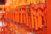 無(wú)門檻的自由斗地主——游戲單機(jī)斗地主，一人一地一張牌，一鍵玩轉(zhuǎn)無(wú)門檻的免費(fèi)斗地主游戲