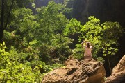 夢(mèng)中尋房，探索未知與內(nèi)心深處的旅程，夢(mèng)中尋房，探索未知與內(nèi)心深處的旅程