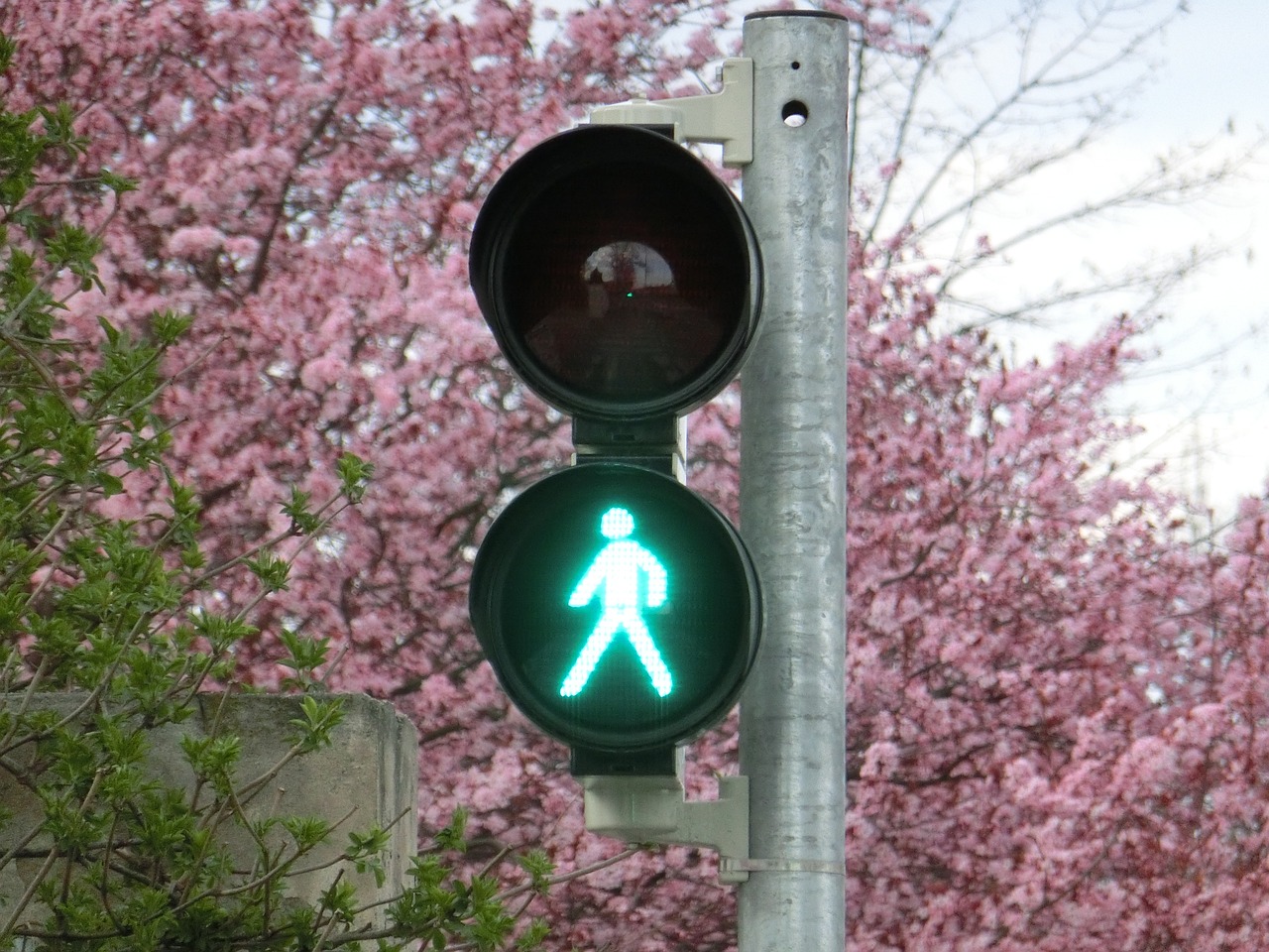 新車輪胎發(fā)黃的原因是什么？如何預(yù)防和處理這一問題？
