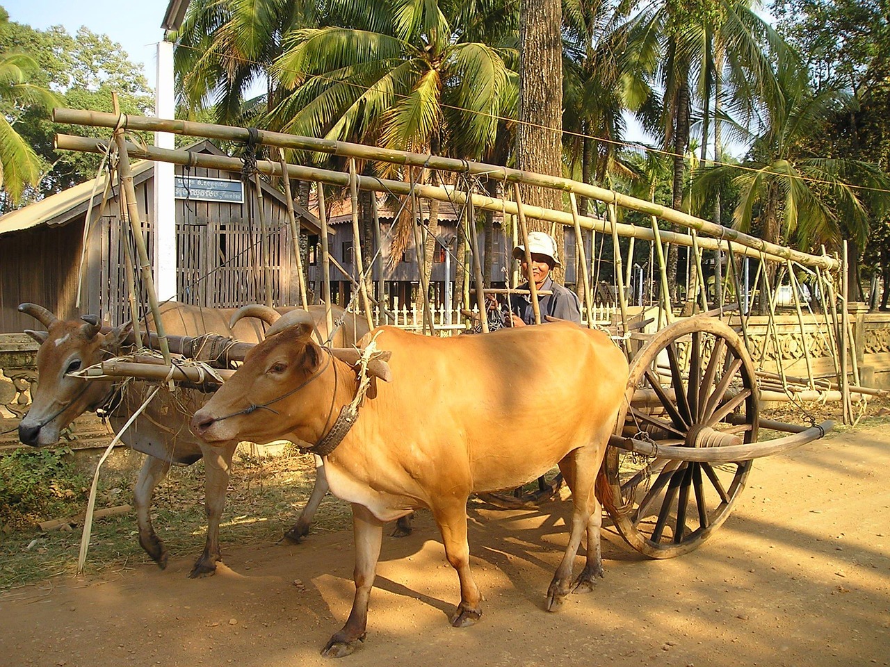 石嘴山農(nóng)產(chǎn)品網(wǎng)站搭建，助力鄉(xiāng)村振興，打造區(qū)域特色品牌