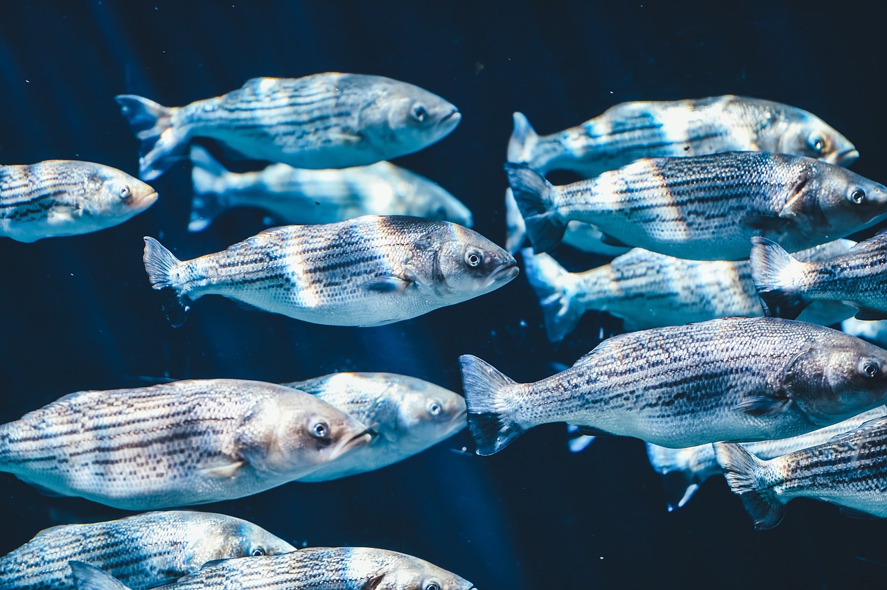 夢境中的神秘生物——夢到老虎與蛇的寓意