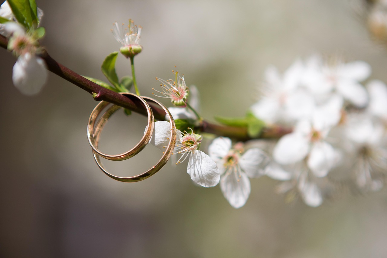 夢(mèng)中之筆，一篇關(guān)于夢(mèng)到文章的探索