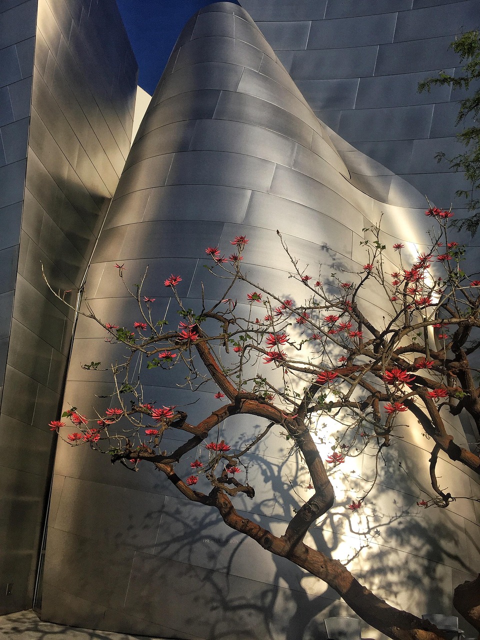 夢(mèng)境中的槍聲，一次自我反思的旅程