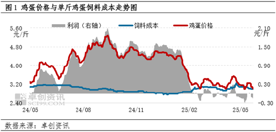 “蛋”說無妨：供強(qiáng)需弱　蛋雞養(yǎng)殖陷入虧損